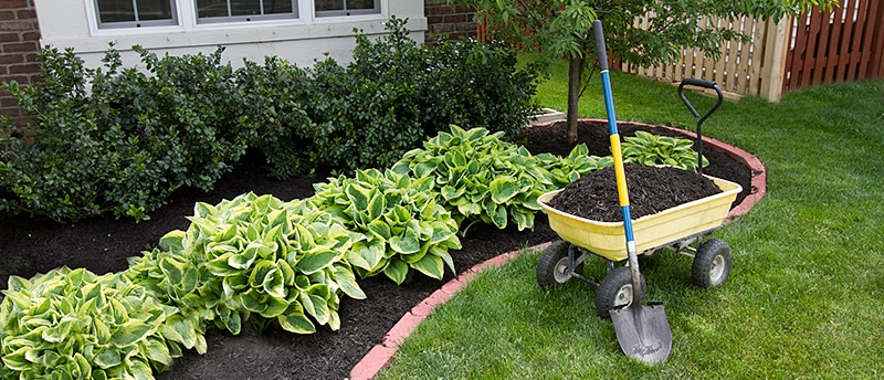what-is-landscape-maintenance-what-are-its-benefits-f